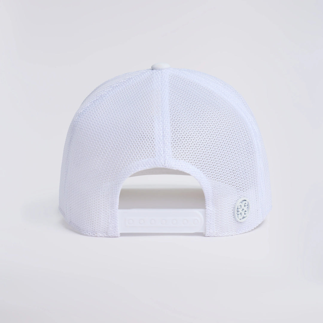 SKULL &amp;amp; TEES MID TRUCKER HAT - Snow